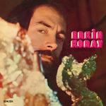 poster Sevince Şaşkın