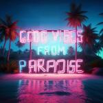 poster Dangerous Good Vibes From Paradise 24