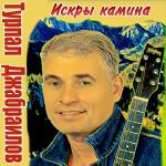 poster Белый пепел Искры камина