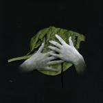 album image Тутуту Подорожник