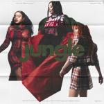 album image Jungle // SunFamily