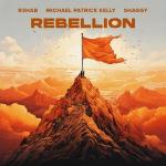 poster Rebellion Rebellion