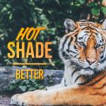 album image Better