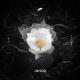 Avicii - Without You (The Hitmen Tribute Bootleg)