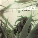 poster When I'm Not Around Awakening