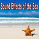 Sound Ideas - Killer Whales Underwater Communication, Group of Adults and Calves Feeding