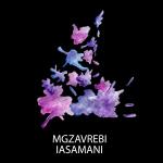 poster Пообещай Iasamani