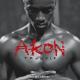 Akon - Locked Up (Remix)