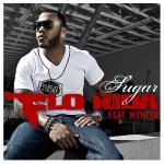 poster Right Round (feat. Ke$ha) (Benny Benassi Remix Edit) Sugar (feat. Wynter) (International)