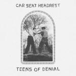 poster Drunk Drivers/Killer Whales Teens Of Denial