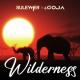 Suleymer, DJ Goja - Wilderness