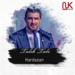 poster Hardasan Hardasan