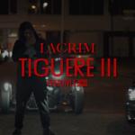 poster Tiguere 3 (Freestyle) Tiguere 3 (Freestyle)