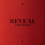 album image Scar THE BOYZ 1ST ALBUM [REVEAL]