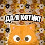 album image Кот На Стиле Да Я Котик