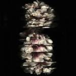 album image ITIIITIATIIHYLIHYL