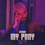 album image My Pony (VIP Remix) My Pony (VIP Remix)