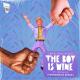 Rosalie, James Mac, VALL Ft. Rosalie - The Boy Is Mine (Original Mix)