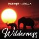 Suleymer & DJ Goja - Wilderness - Suleymer & DJ Goja - Wilderness