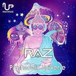 poster Psychedelic Universe Psychadelic Universe