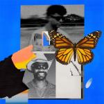 album image Butterflies (Extended Mix)