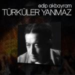 poster Kuşlar Türküler Yanmaz