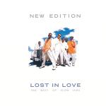 poster Roni Lost In Love: The Best Of Slow Jams (Reissue)