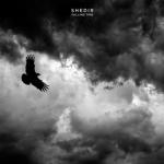 album image Skyness Falling Time