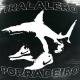 IMARO - TRALALERO PORRADEIRO