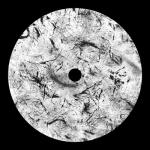 album image Never Let You Go Origins Of Hardstyle