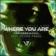 John Summit, Hayla - Where You Are (Our Voyage remix)