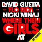 poster Бодранем Всех Where Them Girls At (Instrumental)