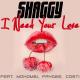 Shaggy feat. Mohombi, Faydee & Costi - Habibi