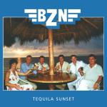 poster Will There Be A Time Tequila Sunset
