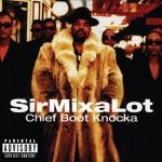 poster Don't Call Me Da Da Chief Boot Knocka