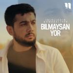 album image Bilmaysan yor Bilmaysan yor