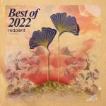 album image Wile (Extended Mix) Best of 2022 (Extended Mixes)