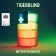 19 TigerBlind - Battery Operated (Extended Mix)