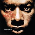 album image I'm Sorry (Gon Haziri & Bess Radio Mix) (pitch -4.57 - tempo 80)