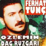 poster Alır Dağlar Özlemin Dağ Rüzgarı