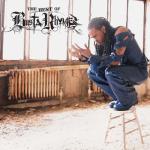 album image Turn in Up (Remix) Fire it Up The Best of Busta Rhymes
