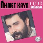 album image Sel Dağ