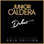 poster Can't Fight This Feeling Debut (Gold Edition)