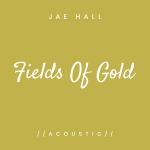 poster Fields of Gold (Acoustic) Fields of Gold (Acoustic)