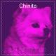 DJ NITRO 0.0 - Chinita