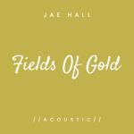album image Fields of Gold (Acoustic) Fields of Gold (Acoustic)