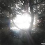 album image жакмю sry im d**** rn