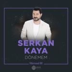 album image Dönemem (İbrahim Erkal Hürmet 3) Dönemem (İbrahim Erkal Hürmet 3)