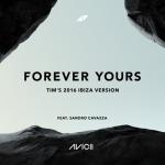 album image Forever Yours (Tim’s 2016 Ibiza Version)