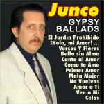 poster Versos Y Flores Gypsy Ballads